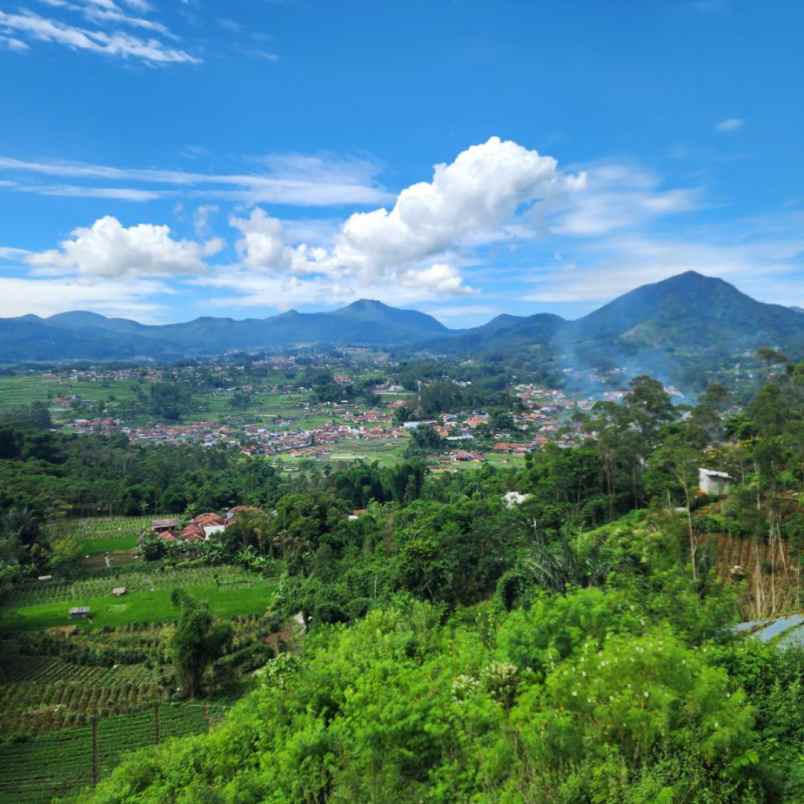 jual tanah murah di ciwidey