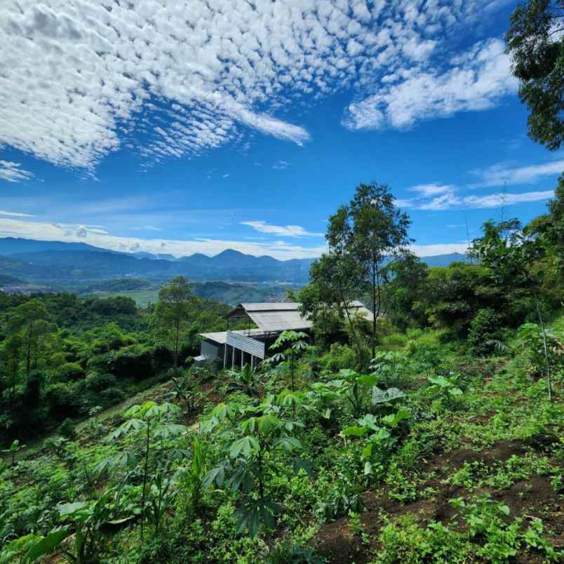 jual tanah murah di ciwidey