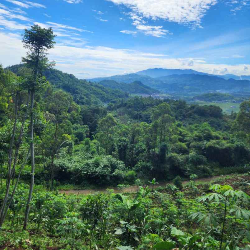 jual tanah murah di ciwidey