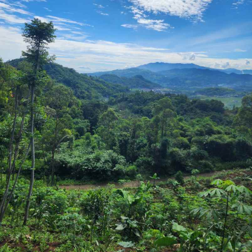 jual tanah murah di ciwidey