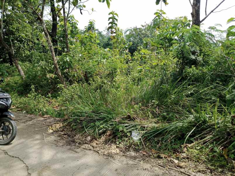 jual tanah murah pinggir jalan