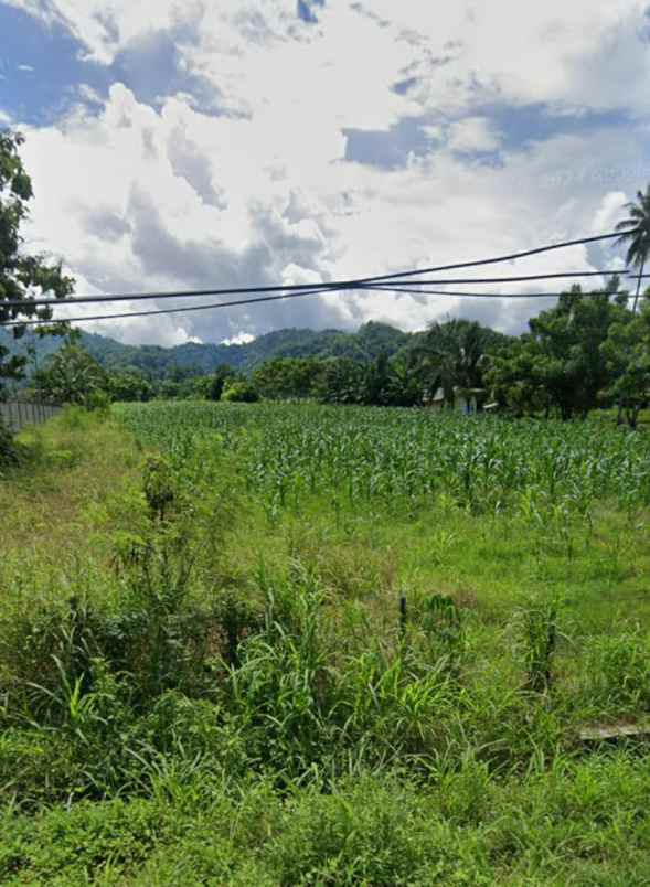 jual tanah pinggir jalan raya