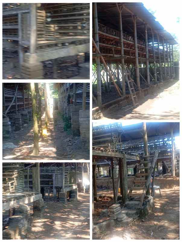 kandang ayam petelur 1 5ha diklaten 350rb m2