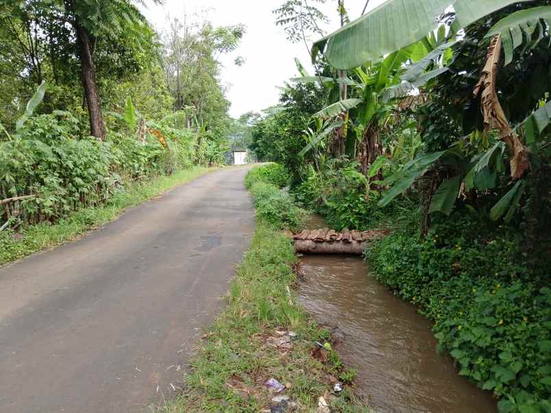 kebun sawah produktif view bagus subang