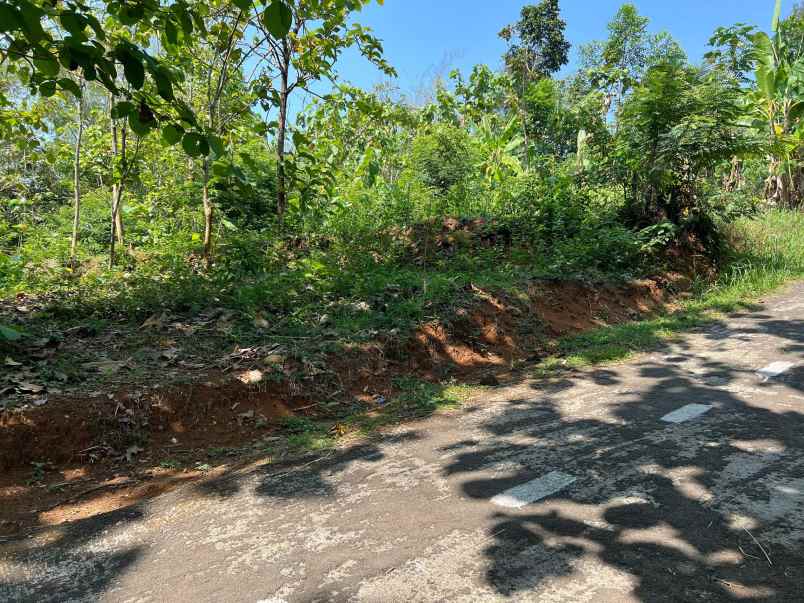 pekarangan datar 1376m kerjo karanganyar