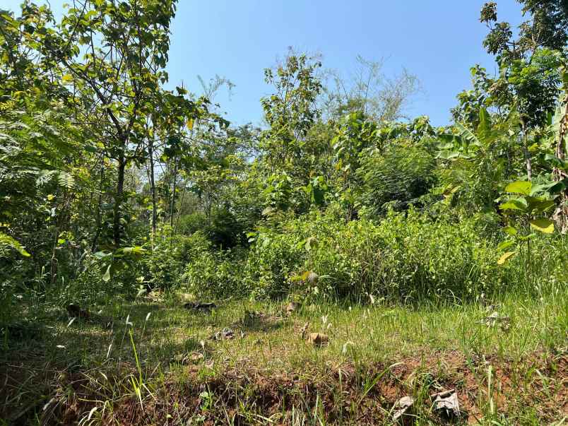 pekarangan datar 1376m kerjo karanganyar