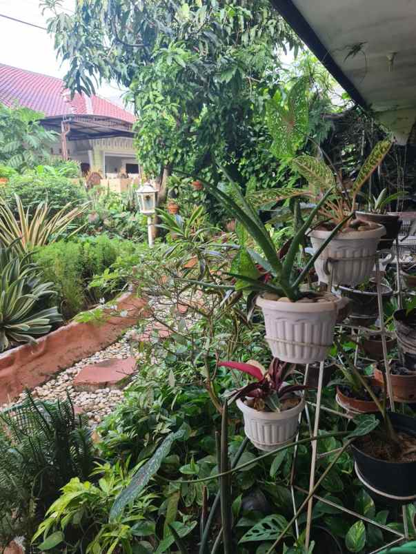 rumah 2 lantai jantung kota semarang dekat udinus