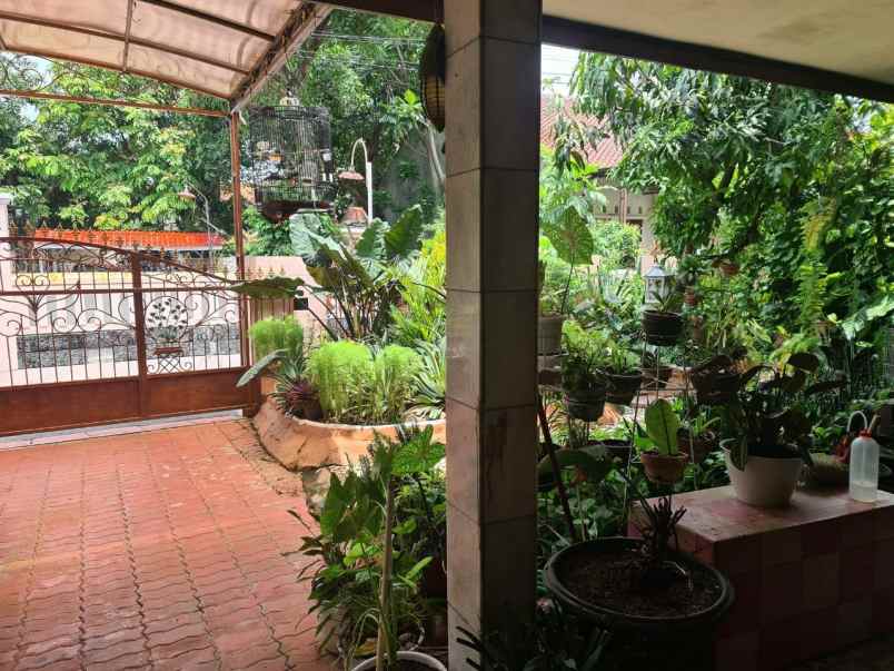 rumah 2 lantai jantung kota semarang dekat udinus