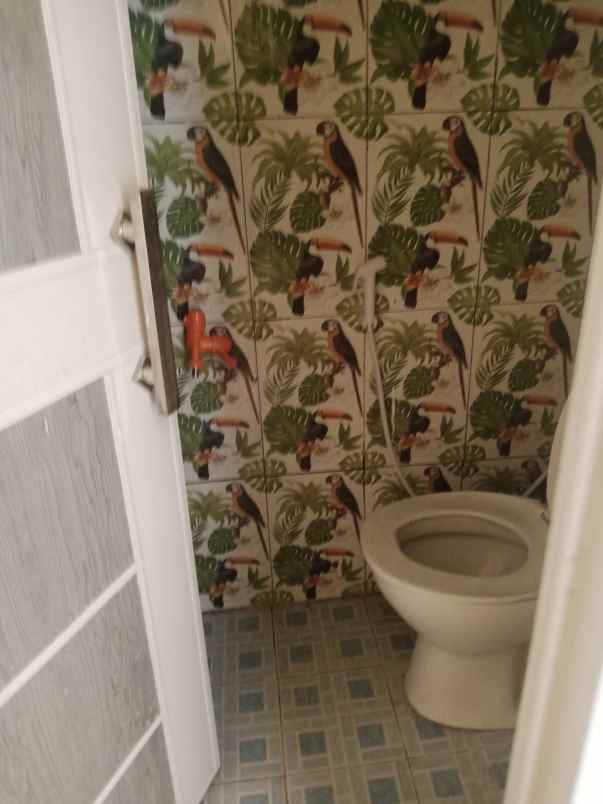 rumah murah 2 lantai cibinong