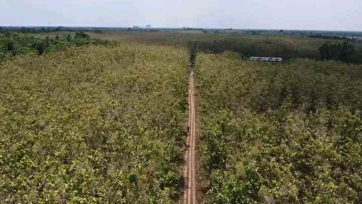 tanah 22 hektar di tanjung bintang lampung selatan