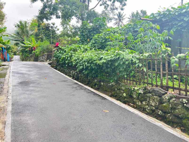 tanah 225 juta kawasan wisata ngargoyoso