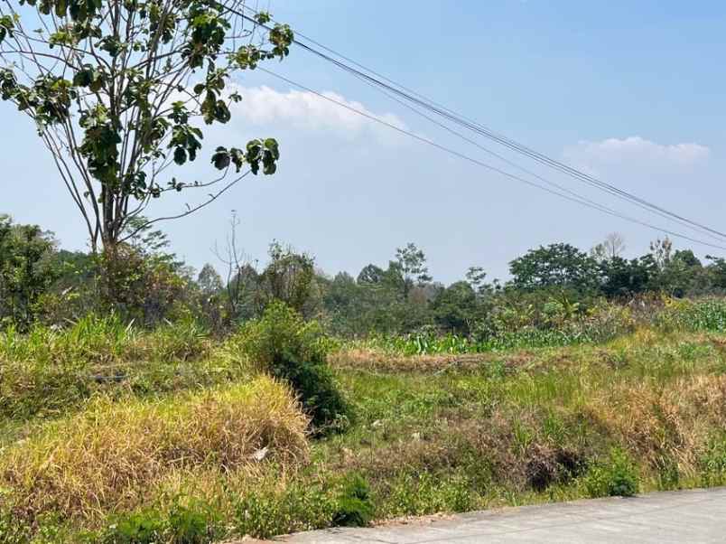 tanah 2564m strategis tepi jl kerjo karanganyar