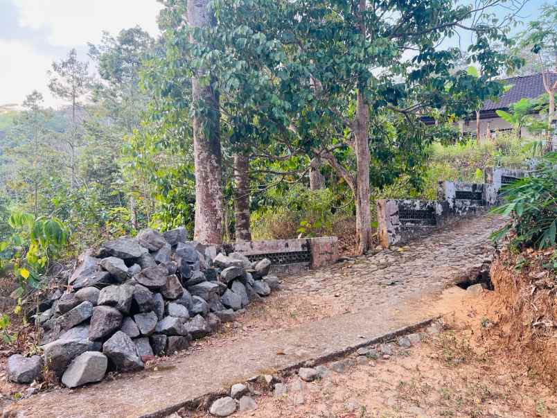 tanah 275 juta cocok untuk kebun matesih karanganyar