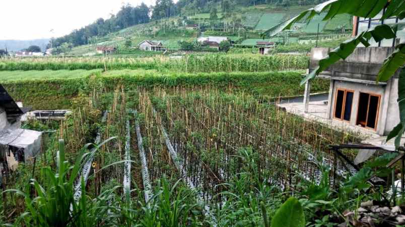 tanah 350 juta kawasan villa kemuning karanganyar