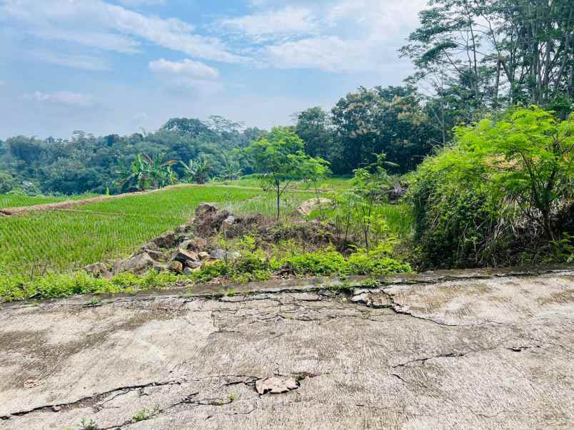 tanah 4895m kawasan wisata karangpandan karanganyar