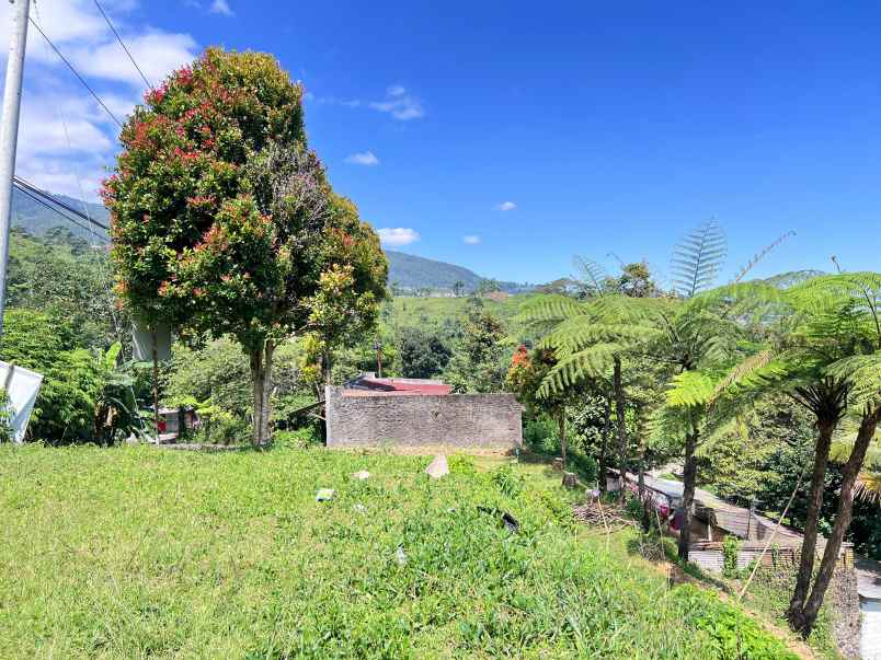 tanah 5971m cocok untuk wisata view kebun teh kemuning