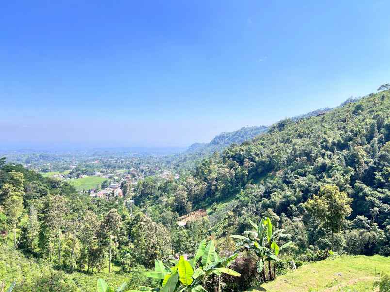 tanah 5971m cocok untuk wisata view kebun teh kemuning