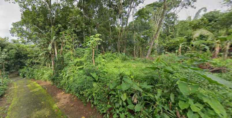 tanah datar 1471m barat pasar karangpandan