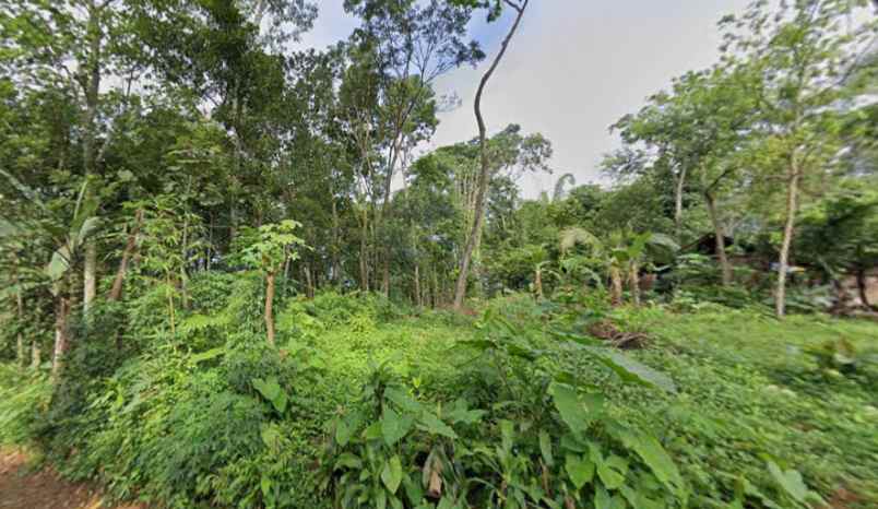 tanah datar 1471m barat pasar karangpandan