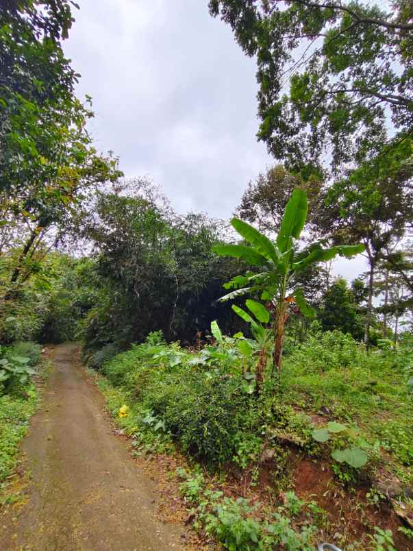 tanah datar 1471m barat pasar karangpandan