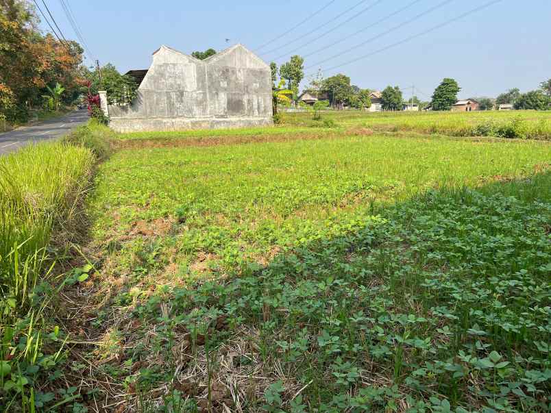 tanah datar 2040m tepi jl raya kedawung sragen