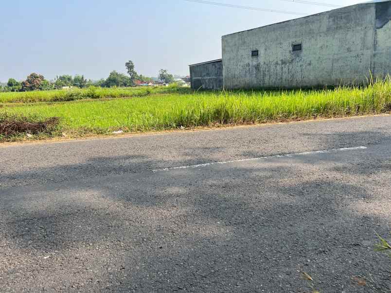 tanah datar 2040m tepi jl raya kedawung sragen