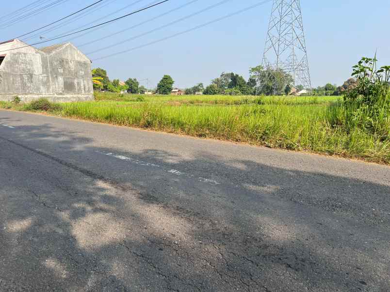 tanah datar 2040m tepi jl raya kedawung sragen