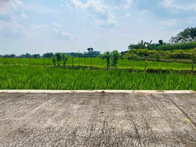 tanah datar untuk kandang 8000m karanganyar utara