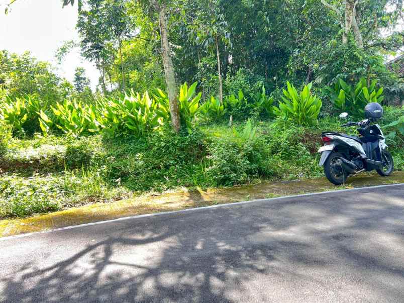 tanah datar view gunung lawu karangpandan karanganyar