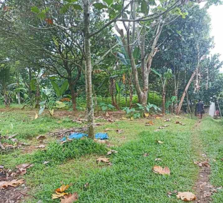 tanah di jalan raya jampang kalisuren bogor