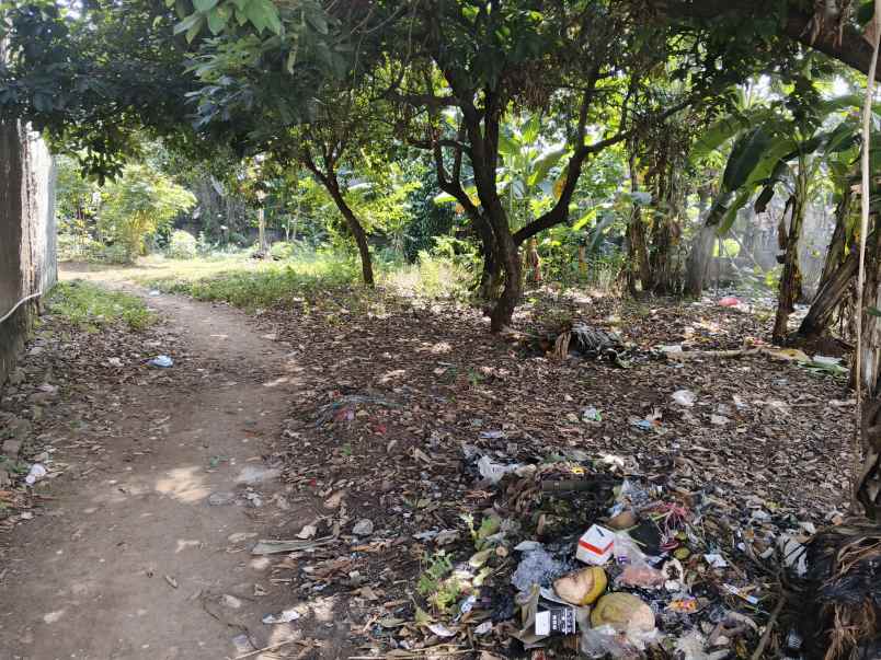 tanah dijual dekat kelurahan bojong kulur