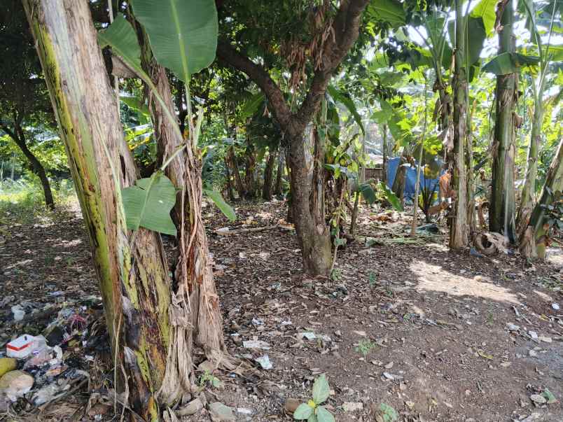 tanah dijual dekat kelurahan bojong kulur