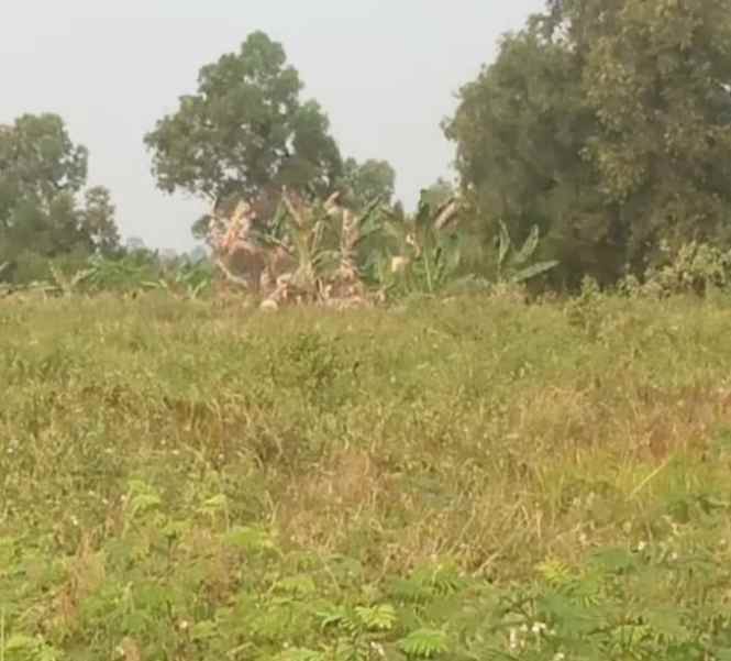 tanah industri 2ha klapanunggal bekasi