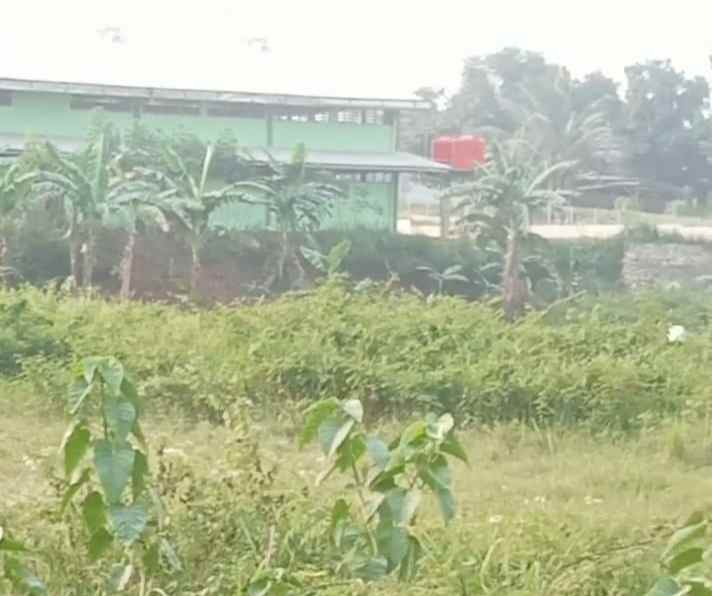 tanah industri 2ha klapanunggal bekasi