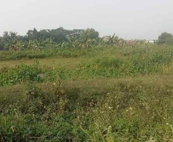 tanah industri 2ha klapanunggal bekasi