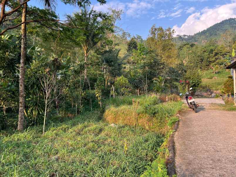 tanah istimewa dekat sungai 280m jenawi karanganyar