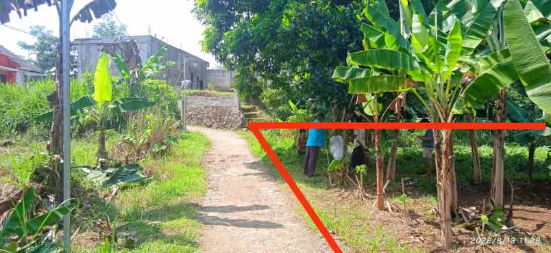 tanah jl ciherang dramaga bogor