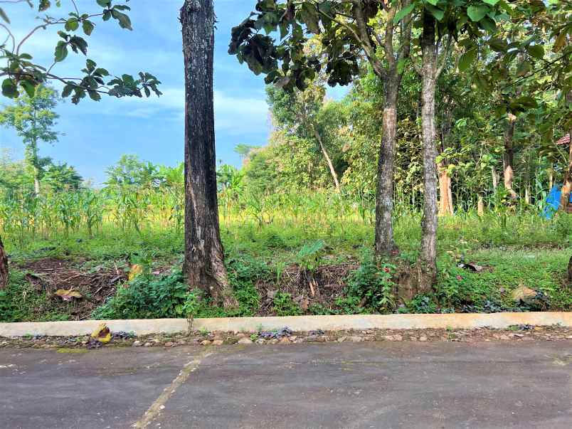 tanah kerjo karanganyar