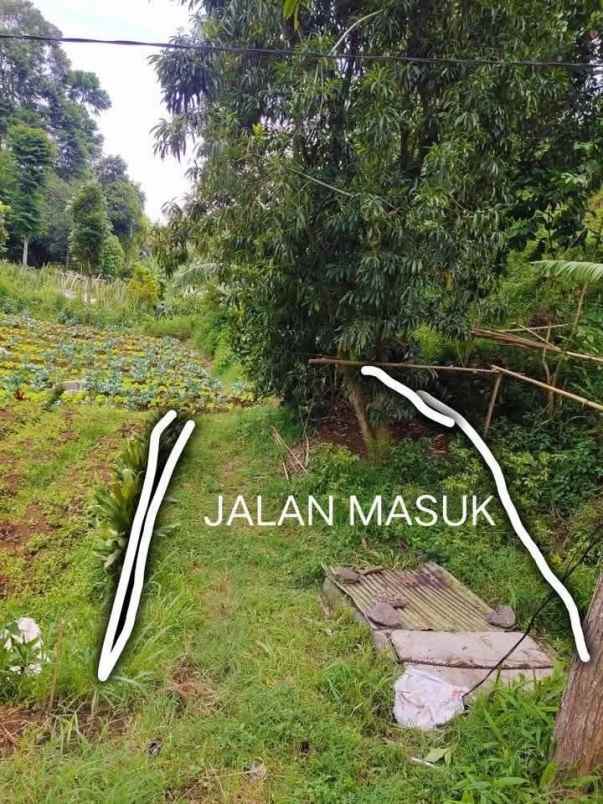 tanah lembang bandung bisa untuk villa perkebunan