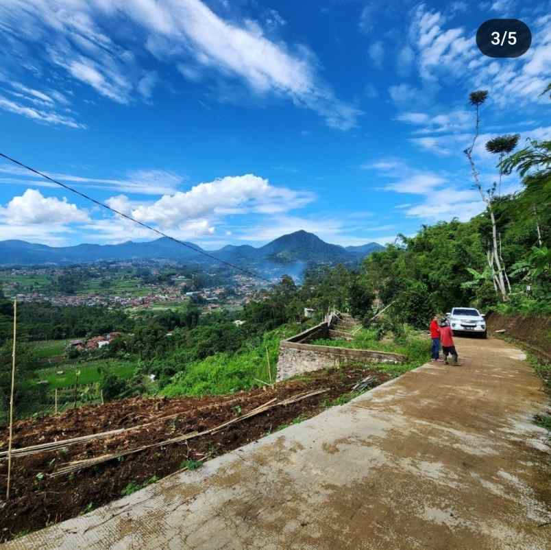 tanah murah ciwidey bandung