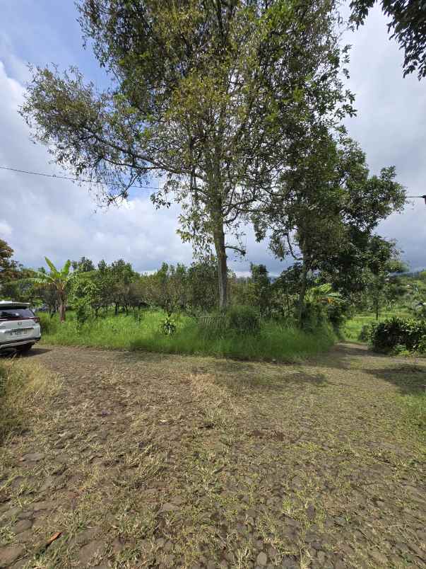 tanah murah dan strategis di binangun bumiaji batu