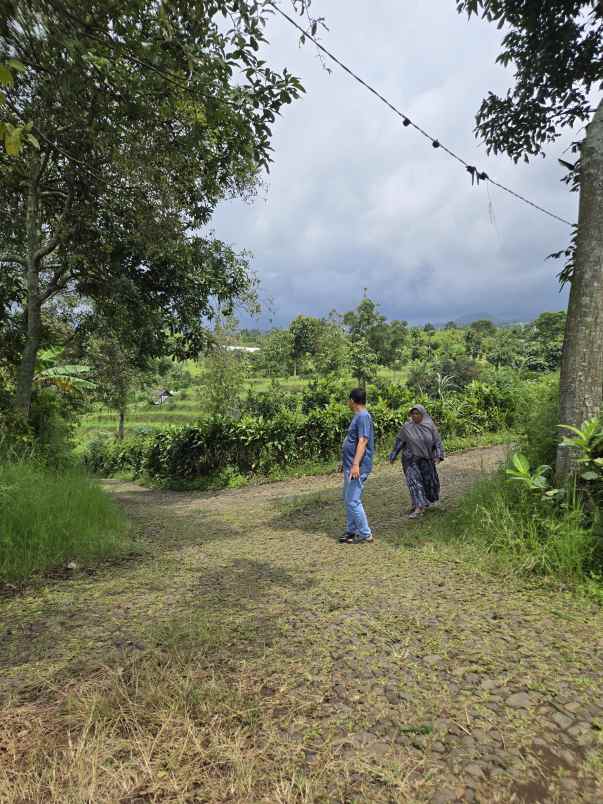 tanah murah dan strategis di binangun bumiaji batu