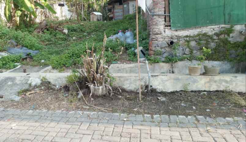 tanah ring 1 undip tembalang semarang