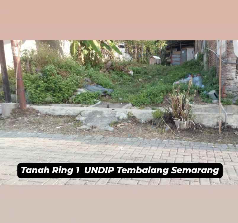 tanah ring 1 undip tembalang semarang