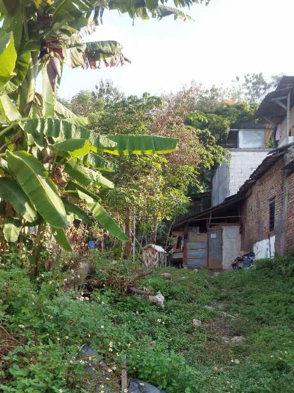 tanah ring 1 undip tembalang semarang