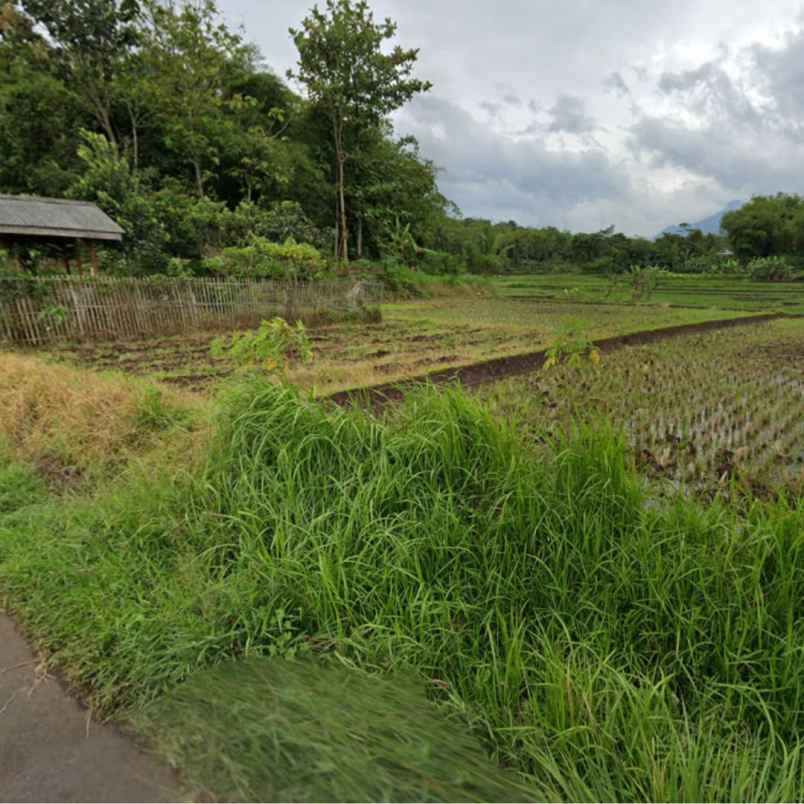 tanah sawah produksi dekat stasiun leuwigoong