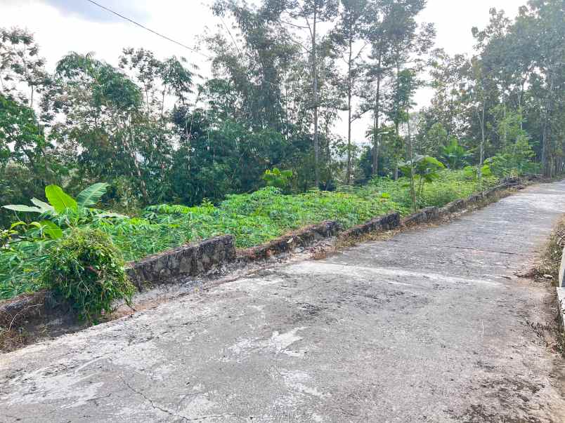tanah subur 6000m kawasan wisata karangpandan