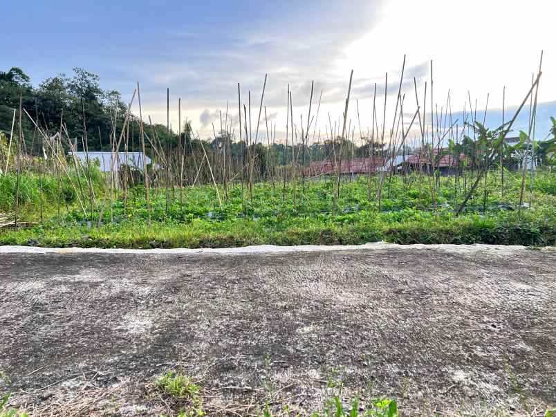 tanah udara dingin 562m kawasan strategis karangpandan