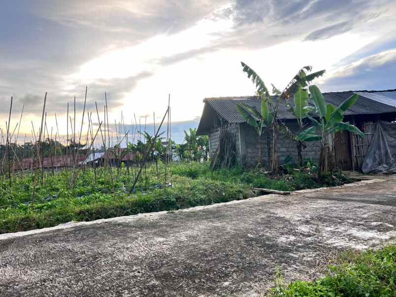 tanah udara dingin 562m kawasan strategis karangpandan