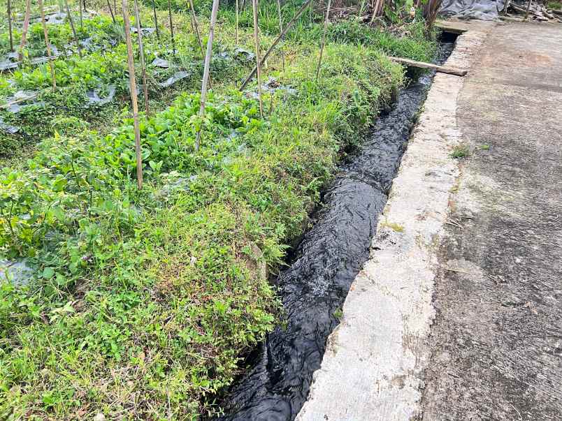 tanah udara dingin 562m kawasan strategis karangpandan